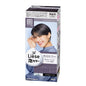 Kao Foam Hair Dye Midnight Gray LAW26 (24)
