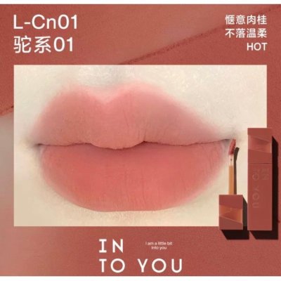 INTO YOU 轻雾印色 唇釉 L Cn01 驼系