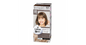 Kao Foam Hair Dye Soft Gray LAW11 (24)