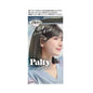 日本Dariya Palty光泽保湿乳状染发剂 梦幻星空蓝灰