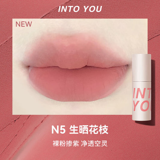 INTOYOU Air Series Lip Mud N5 Sun-dried Squid (27.08.20)
