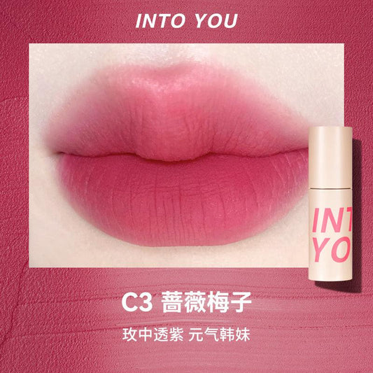INTOYOU Air Series Lip Mud C3 Rose Plum (27.01.18)